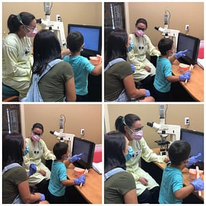 Saliva Bacteria Analysis with Microscope